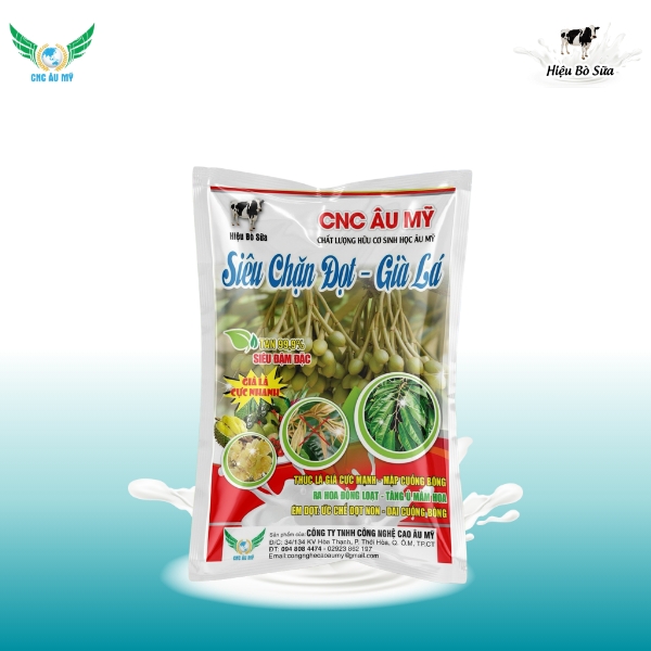 SIÊU CHẶN ĐỌT GIÀ LÁ