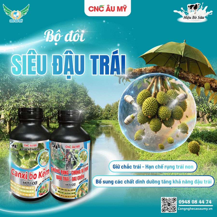 Siêu Đậu Trái