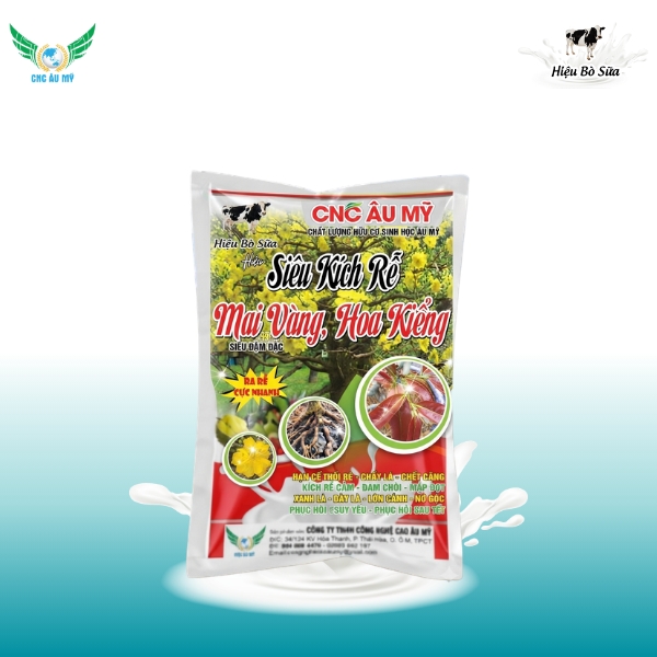 SIÊU KÍCH RỄ MAI VÀNG HOA KIỂNG