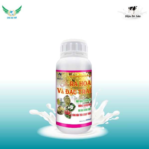 SIÊU RA HOA VÀ ĐẬU TRÁI