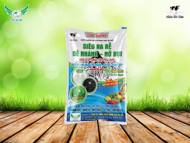 SIÊU RA RỄ ĐẺ NHÁNH NỞ BỤI