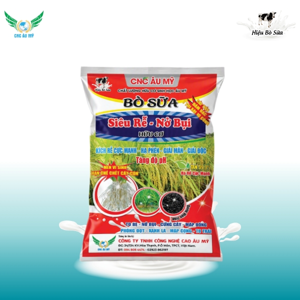 SIÊU RỄ NỞ BỤI 