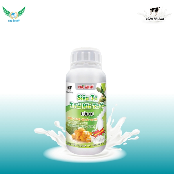 SIÊU TO TRÁI MÍT THÁI