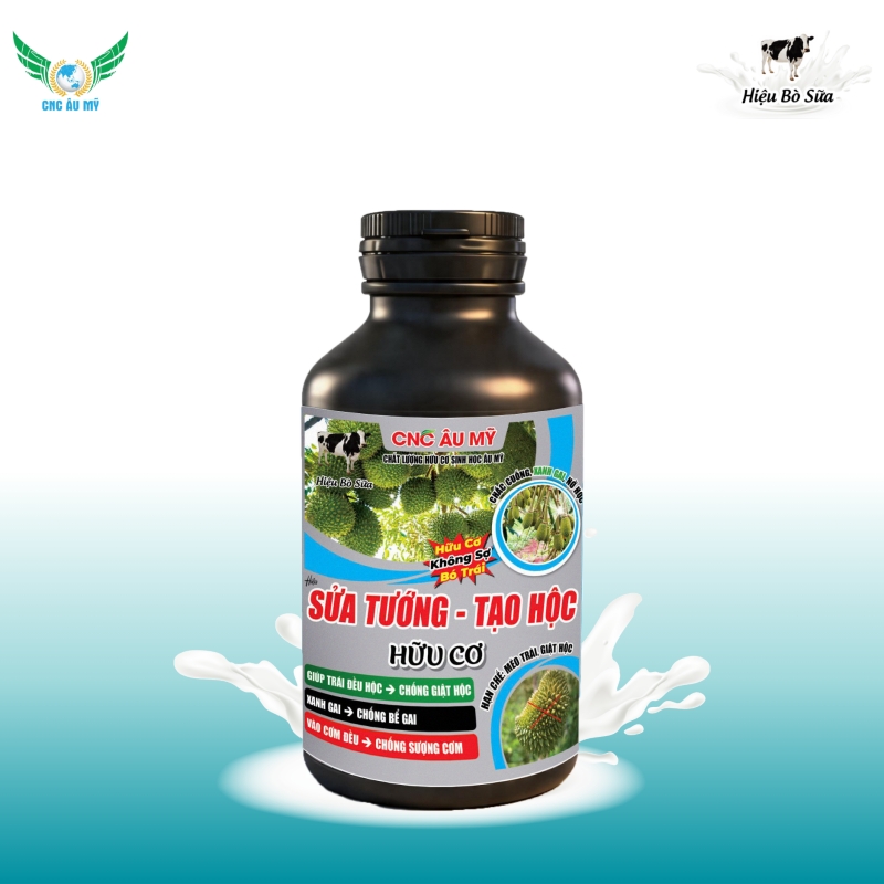 SỬA TƯỚNG TẠO HỘC