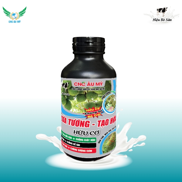 SỬA TƯỚNG TẠO HỘC