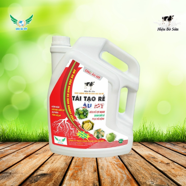 TÁI TẠO RỄ