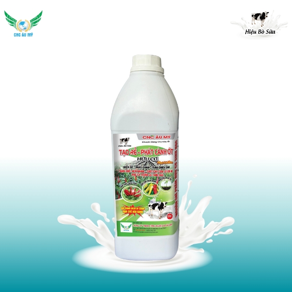 TẠO RỄ PHÁT CÀNH ỚT