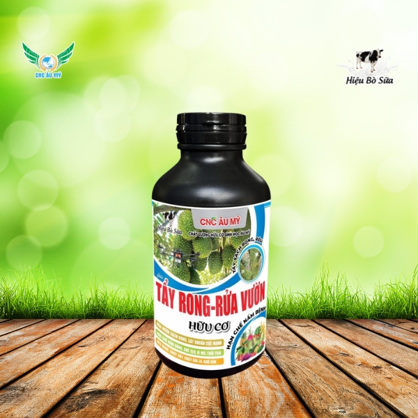 TẨY RONG RỬA VƯỜN