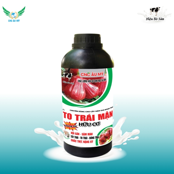 TO TRÁI MẬN