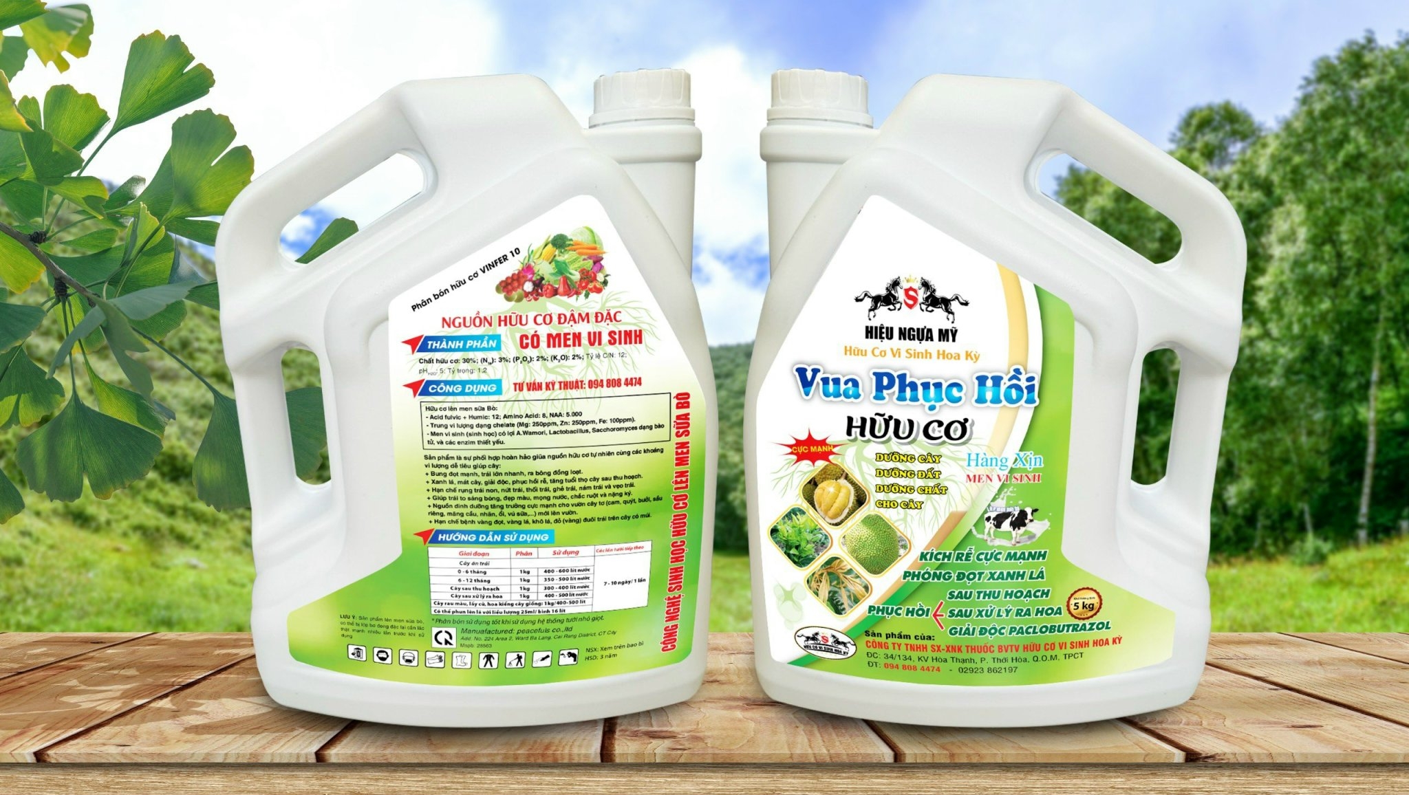 VUA PHỤC HỒI