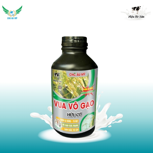 VUA VÔ GẠO