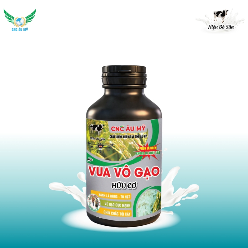 VUA VÔ GẠO