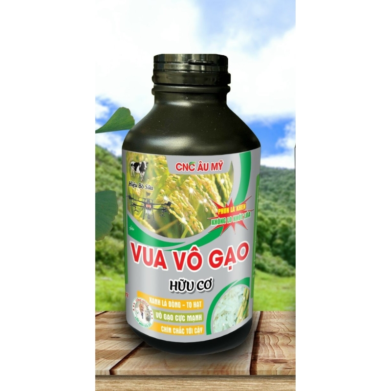 VUA VÔ GẠO