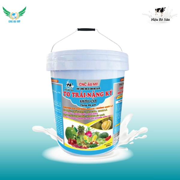 XÔ TO TRÁI NẶNG KÝ