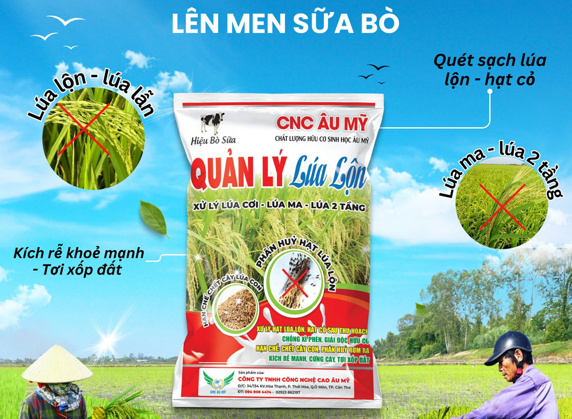 Công nghệ cao âu mỹ