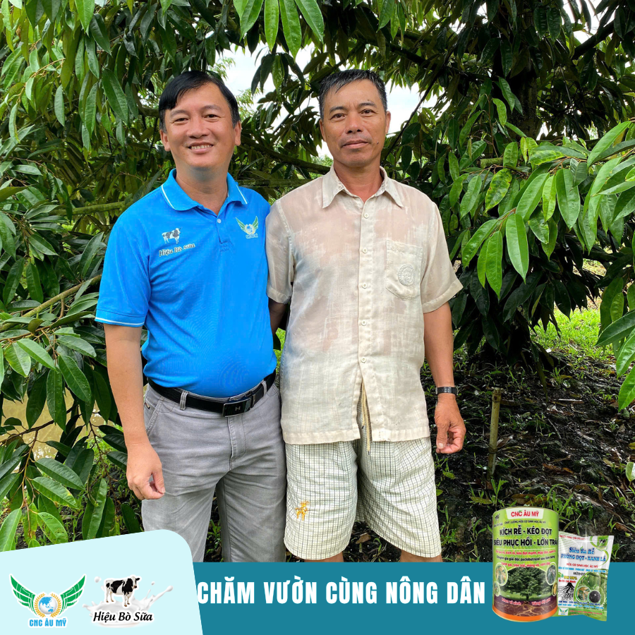 CHĂM VƯỜN GIAI ĐOẠN PHỤC HỒI CÙNG KỸ SƯ ÂU MỸ