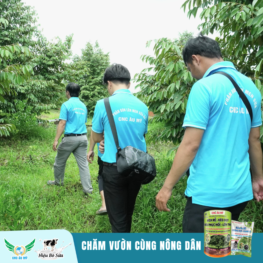 CHĂM VƯỜN GIAI ĐOẠN PHỤC HỒI CÙNG KỸ SƯ ÂU MỸ