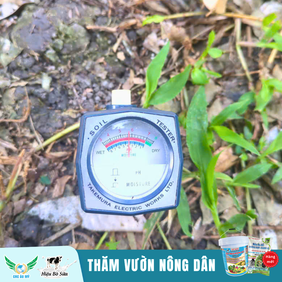 Công Nghệ Cao Âu Mỹ - Đồng hành cùng nhà nông chia sẻ kiến thức, kỹ thuật trồng sầu riêng