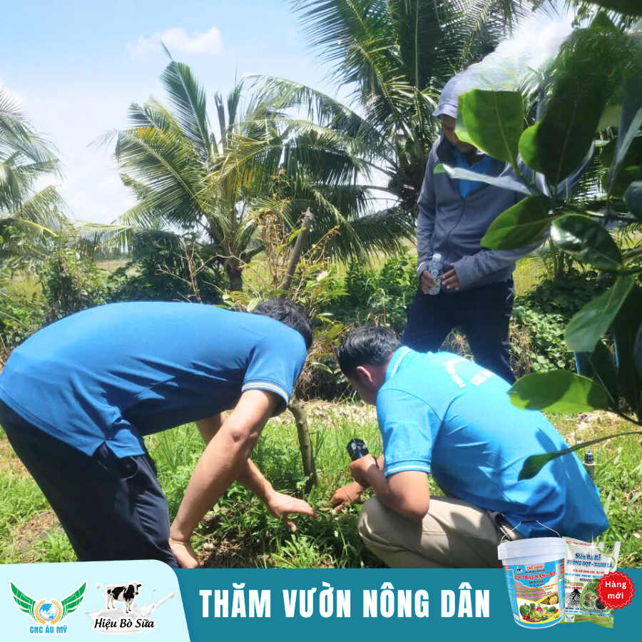 Công Nghệ Cao Âu Mỹ - Đồng hành cùng nhà nông chia sẻ kiến thức, kỹ thuật trồng sầu riêng