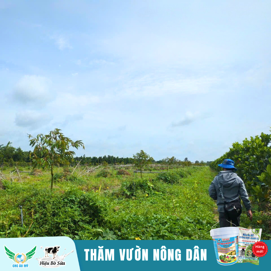 Công Nghệ Cao Âu Mỹ - Đồng hành cùng nhà nông chia sẻ kiến thức, kỹ thuật trồng sầu riêng