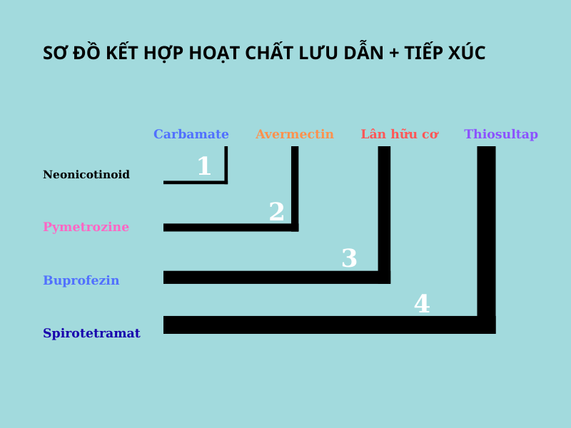 NHÓM HOẠT CHẤT QUẢN LÝ ĐỐI TƯỢNG CHÍCH HÚT