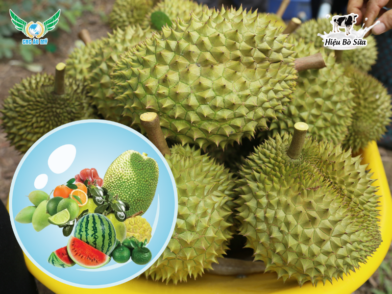 Phân bón hữu cơ vi sinh lên men sữa - Bí quyết nuôi dưỡng cây trồng khỏe mạnh tự nhiên