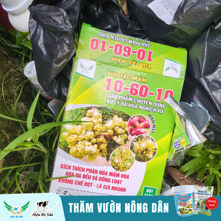 Công Nghệ Cao Âu Mỹ - Đồng hành cùng nhà nông chia sẻ kiến thức, kỹ thuật trồng sầu riêng