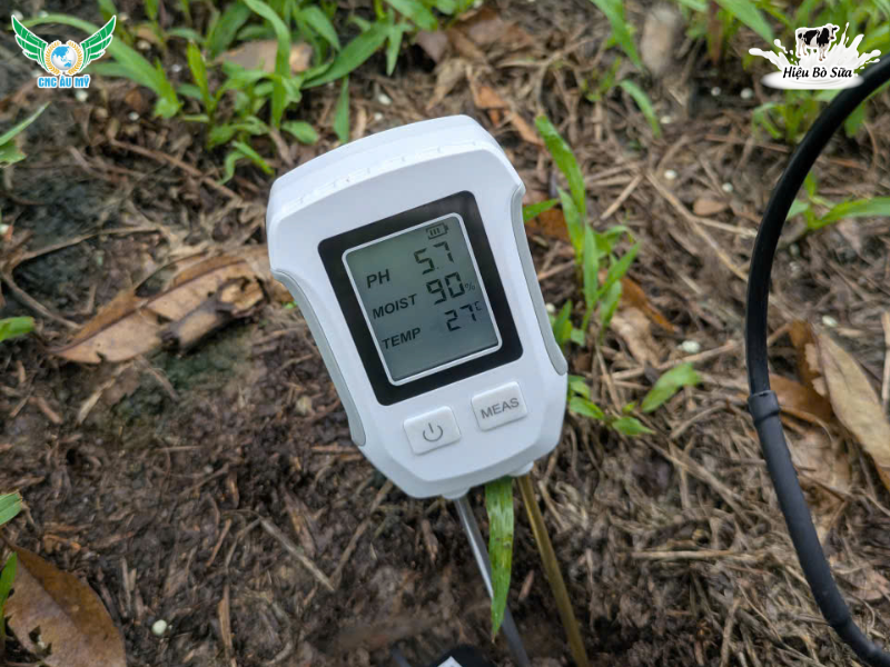 ACID FULVIC LÀ GÌ? NHỮNG ĐẶC ĐIỂM NỔI BẬT CỦA FULVIC BẠN NÊN BIẾT