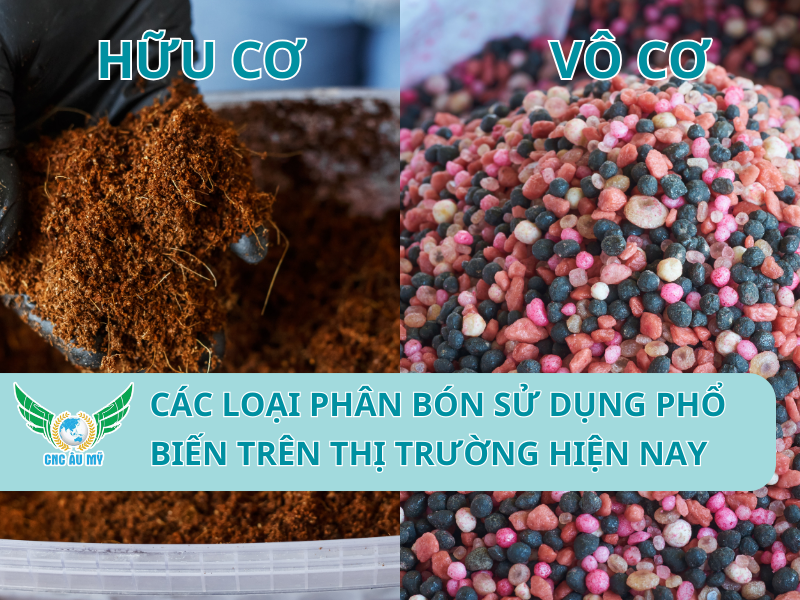 Các loại phân bón sử dụng phổ biến trên thị trường hiện nay 