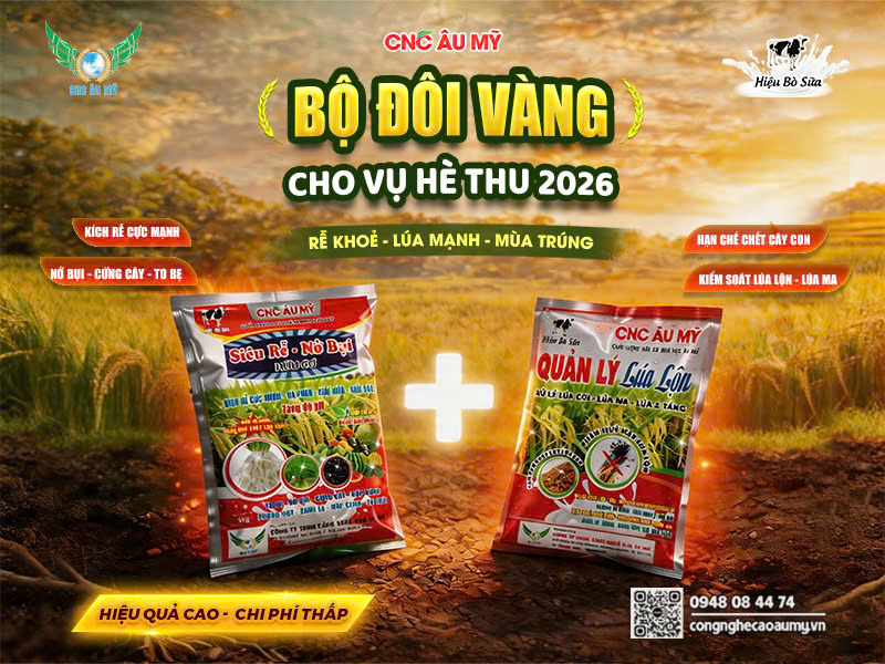 CHIẾN DỊCH BANNER QUẢN LÝ LÚA LỘN & TÚI 5KG VỤ HÈ THU 2026