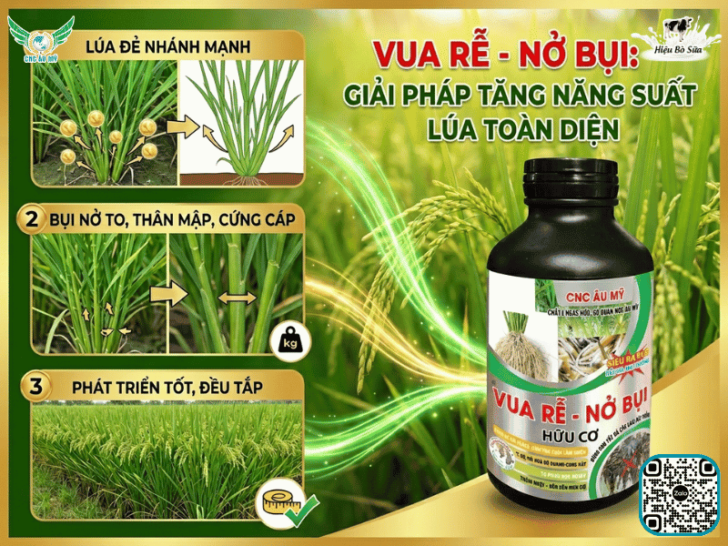 Giải pháp tăng chồi hữu hiệu tối đa bằng sản phẩm sinh học 
