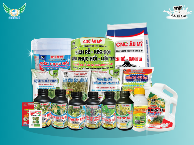 NGUYÊN NHÂN HỆ VI SINH MẤT DẦN TRONG ĐẤT GIẢI PHÁP PHỤC HỒI BỀN VỮNG