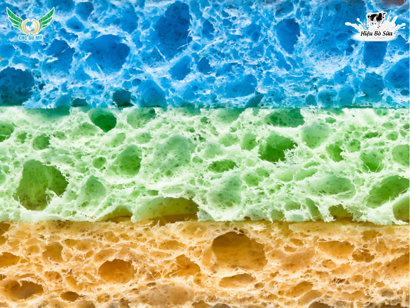 VI SINH VẬT PHÂN GIẢI CELLULOSE CÓ Ý NGHĨA NHƯ THẾ NÀO