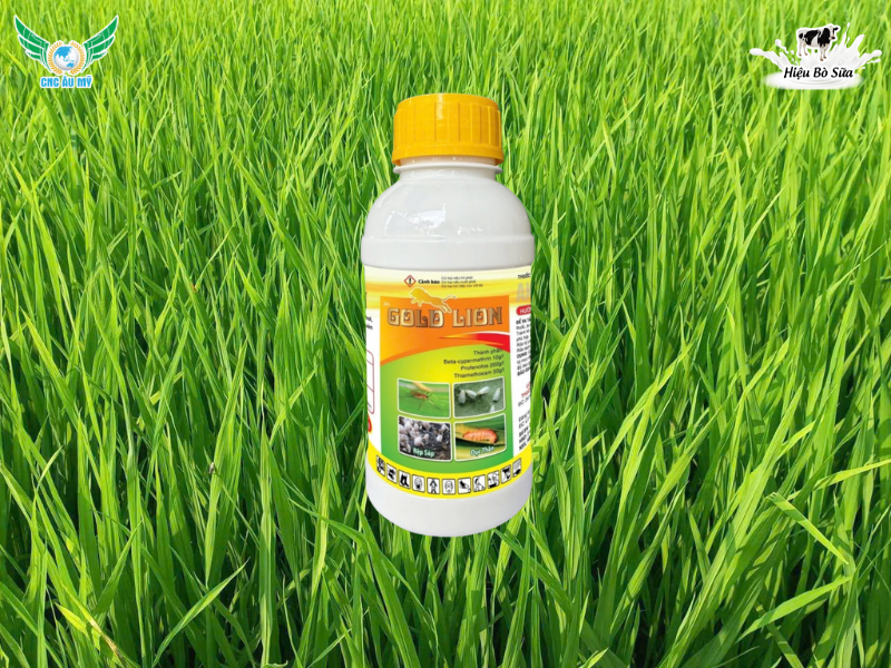 MUỖI HÀNH HẠI LÚA VÀ BIỆN PHÁP KIỂM SOÁT