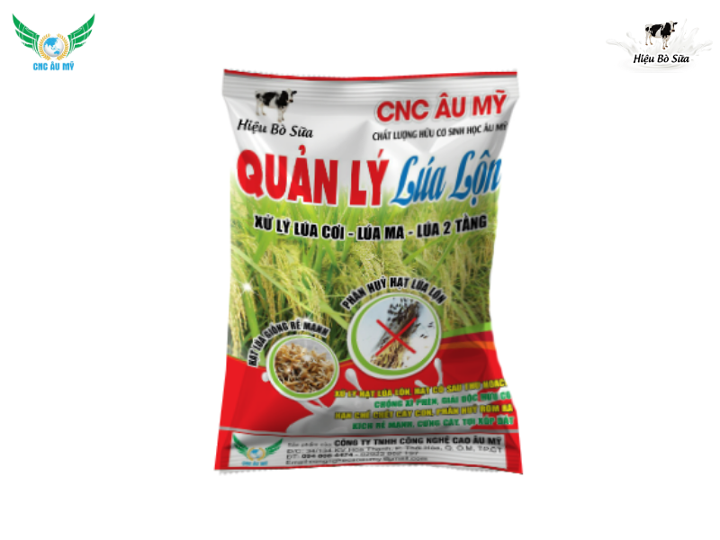 Các giai đoạn sinh trưởng và phát triển của cây lúa bà con nên biết