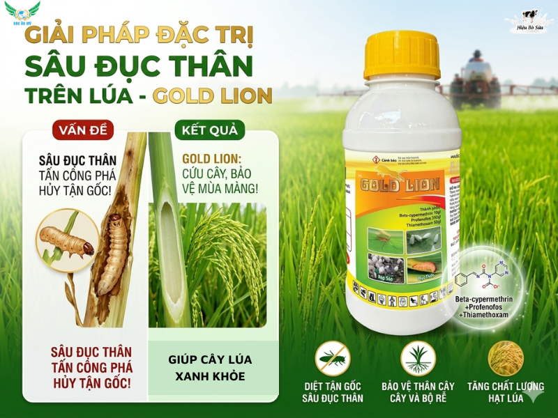 SÂU ĐỤC THÂN HẠI LÚA VÀ BIỆN PHÁP KIỂM SOÁT