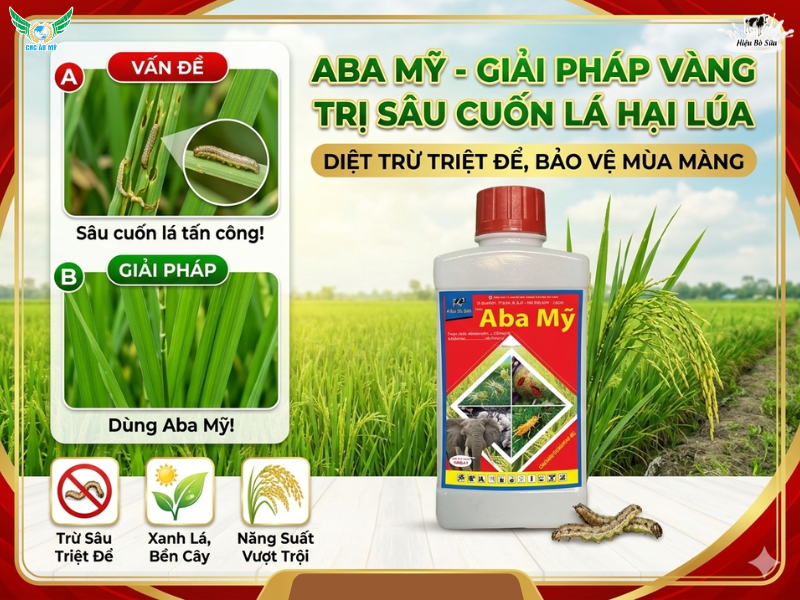 QUẢN LÝ ĐỐI TƯỢNG SÂU CUỐN LÁ HẠI LÚA