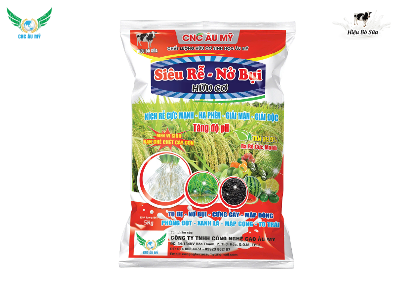 Những vấn đề cây lúa gặp phải trong giai đoạn đẻ nhánh và giải pháp 