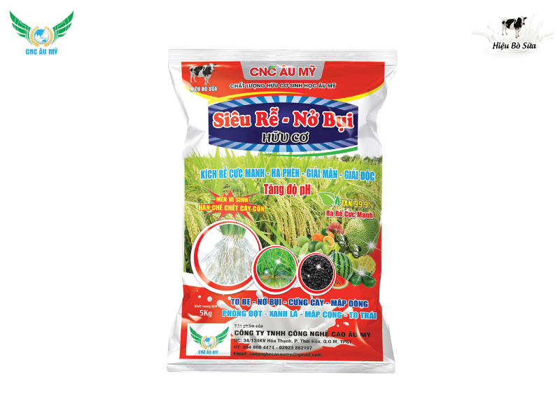 Các giai đoạn sinh trưởng và phát triển của cây lúa bà con nên biết