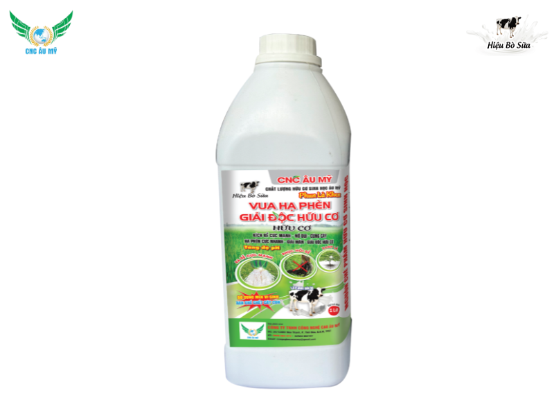 Những vấn đề cây lúa gặp phải trong giai đoạn đẻ nhánh và giải pháp 