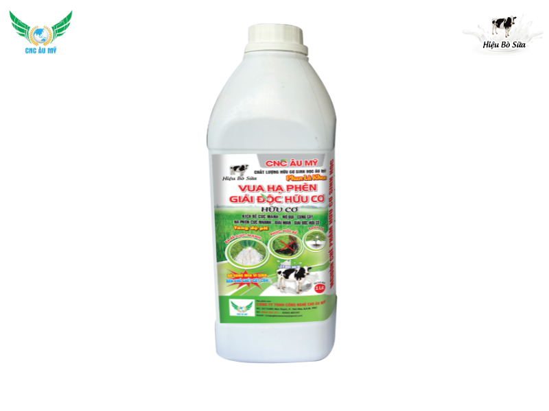 Các giai đoạn sinh trưởng và phát triển của cây lúa bà con nên biết