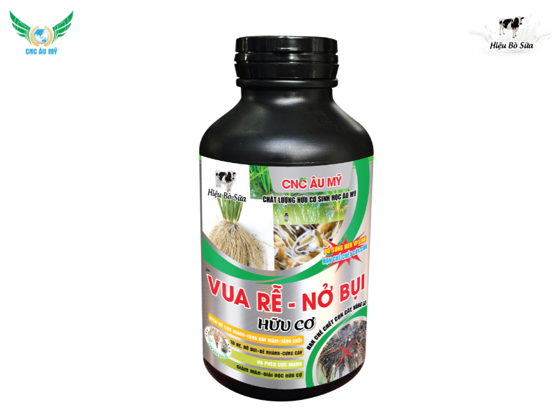Các giai đoạn sinh trưởng và phát triển của cây lúa bà con nên biết