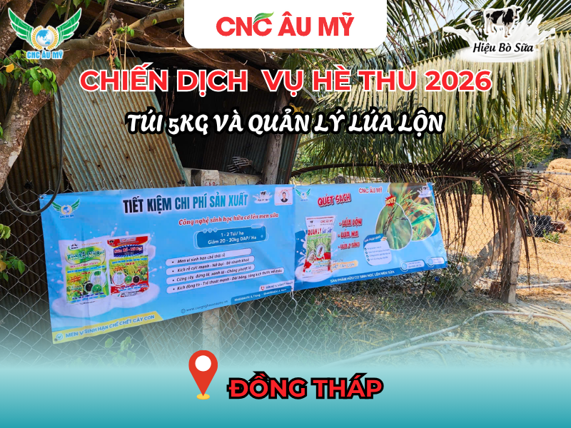 CHIẾN DỊCH BANNER QUẢN LÝ LÚA LỘN & TÚI 5KG VỤ HÈ THU 2026