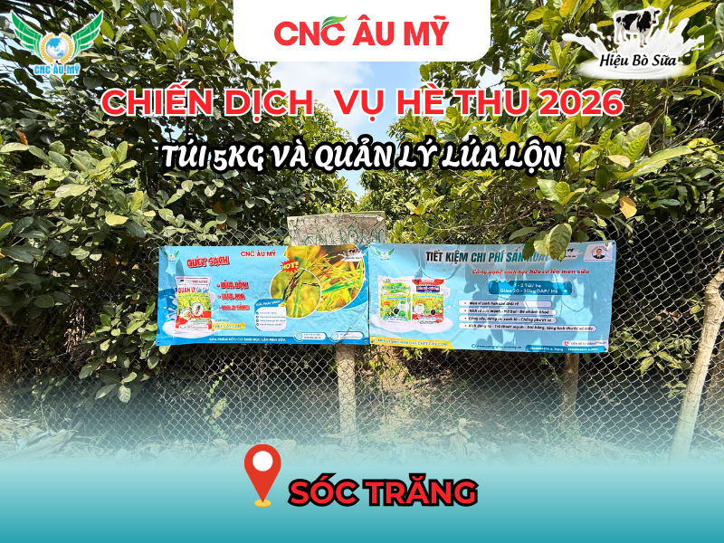 CHIẾN DỊCH BANNER QUẢN LÝ LÚA LỘN & TÚI 5KG VỤ HÈ THU 2026