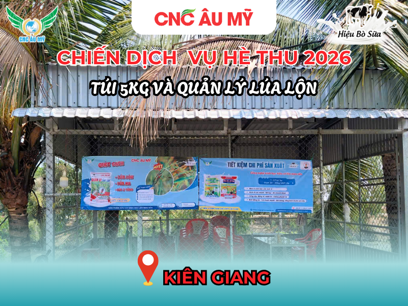 CHIẾN DỊCH BANNER QUẢN LÝ LÚA LỘN & TÚI 5KG VỤ HÈ THU 2026