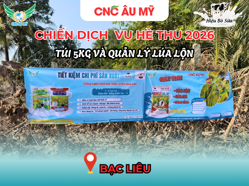 CHIẾN DỊCH BANNER QUẢN LÝ LÚA LỘN & TÚI 5KG VỤ HÈ THU 2026