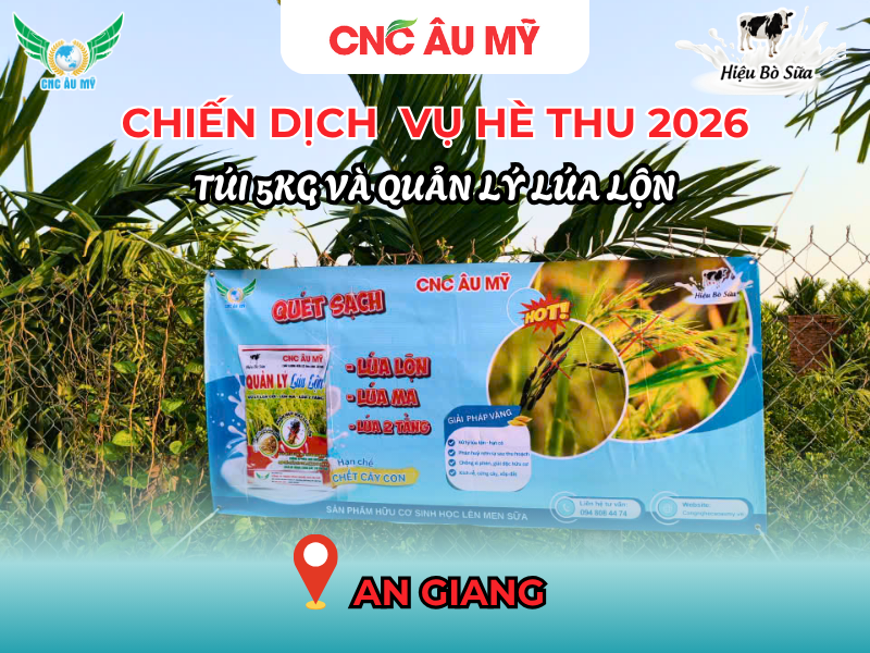 CHIẾN DỊCH BANNER QUẢN LÝ LÚA LỘN & TÚI 5KG VỤ HÈ THU 2026