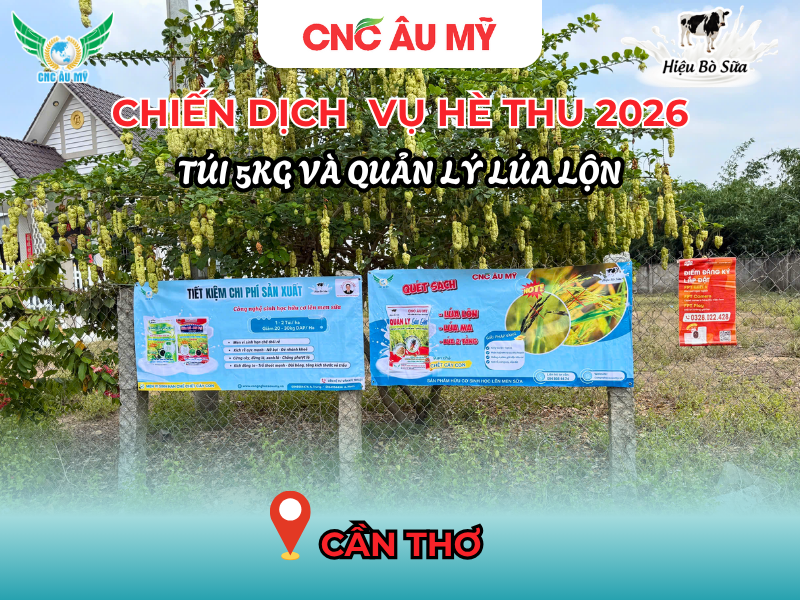 CHIẾN DỊCH BANNER QUẢN LÝ LÚA LỘN & TÚI 5KG VỤ HÈ THU 2026