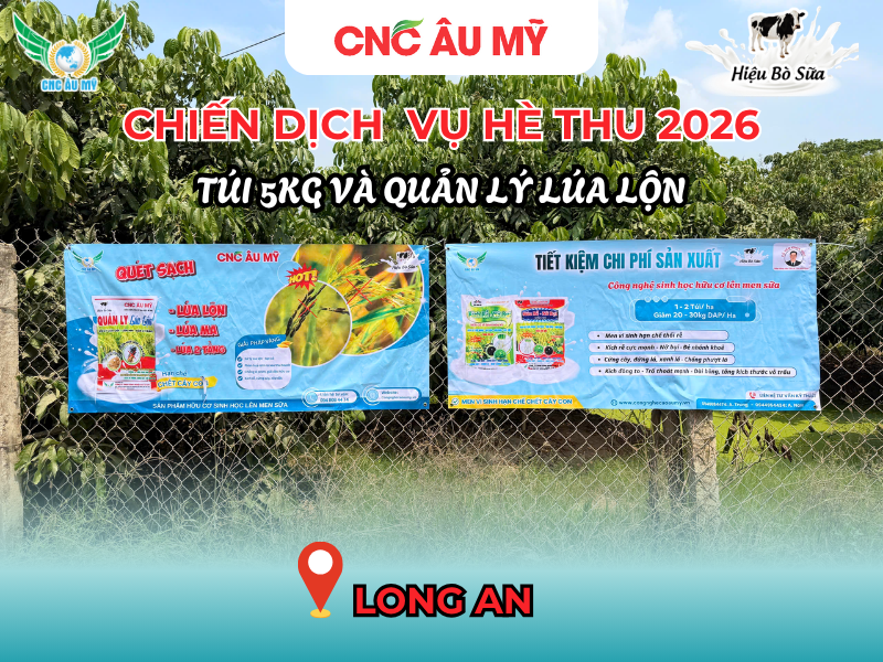 CHIẾN DỊCH BANNER QUẢN LÝ LÚA LỘN & TÚI 5KG VỤ HÈ THU 2026