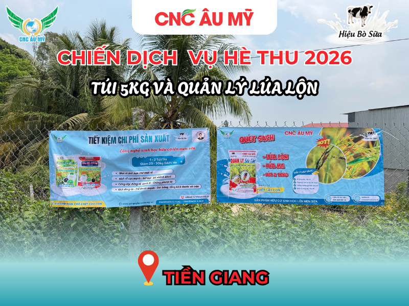 CHIẾN DỊCH BANNER QUẢN LÝ LÚA LỘN & TÚI 5KG VỤ HÈ THU 2026